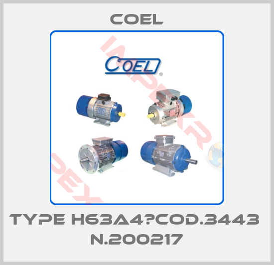 Coel-TYPE H63A4　cod.3443  N.200217