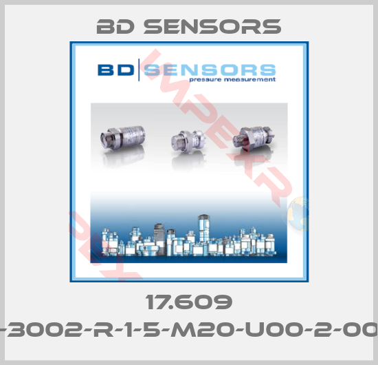 Bd Sensors-17.609 G-3002-R-1-5-M20-U00-2-000