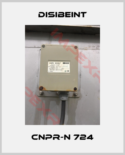 Disibeint-CNPR-N 724