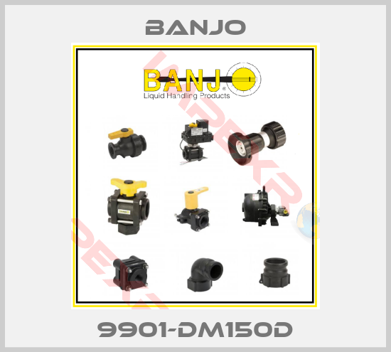 Banjo-9901-DM150D