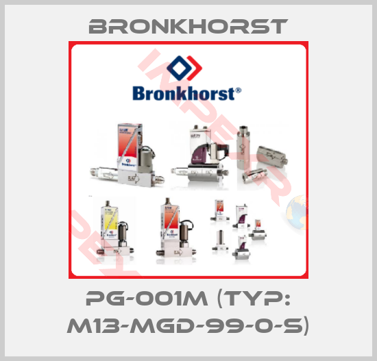 Bronkhorst-PG-001M (Typ: M13-MGD-99-0-S)