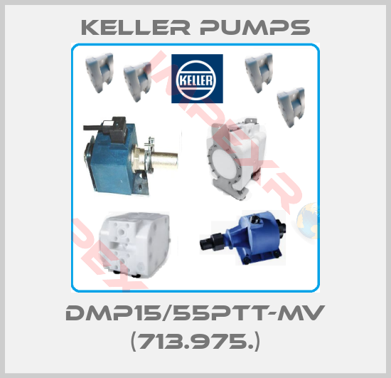 Keller Pumps-DMP15/55PTT-MV (713.975.)