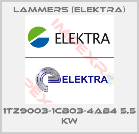 Lammers (Elektra)-1TZ9003-1CB03-4AB4 5,5 kW