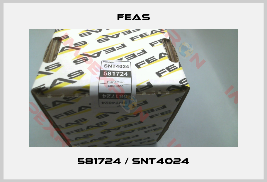 Feas-581724 / SNT4024