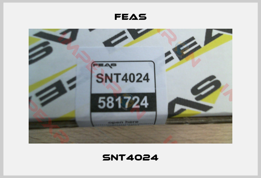 Feas-SNT4024