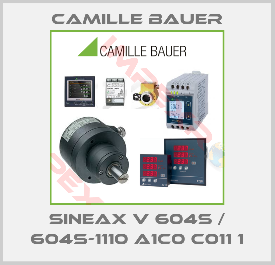 Camille Bauer-SINEAX V 604s / 604S-1110 A1C0 C011 1