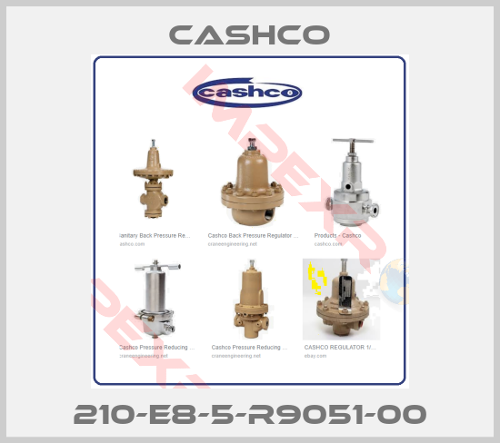 Cashco-210-E8-5-R9051-00