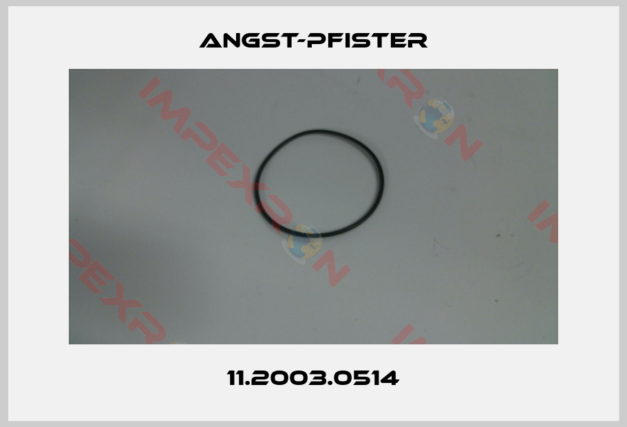 Angst-Pfister-11.2003.0514