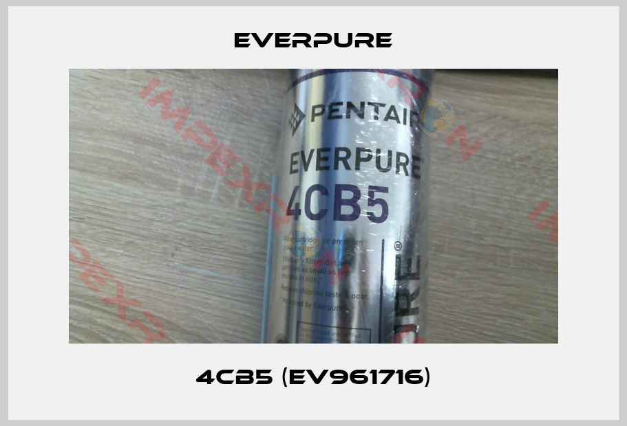 Everpure-4CB5 (EV961716)