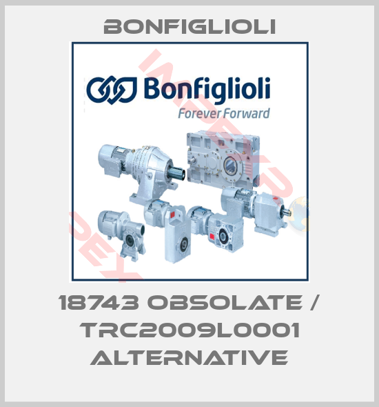 Bonfiglioli-18743 obsolate / TRC2009L0001 alternative
