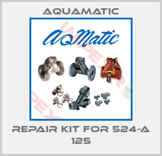 AquaMatic-Repair kit for 524-A 125