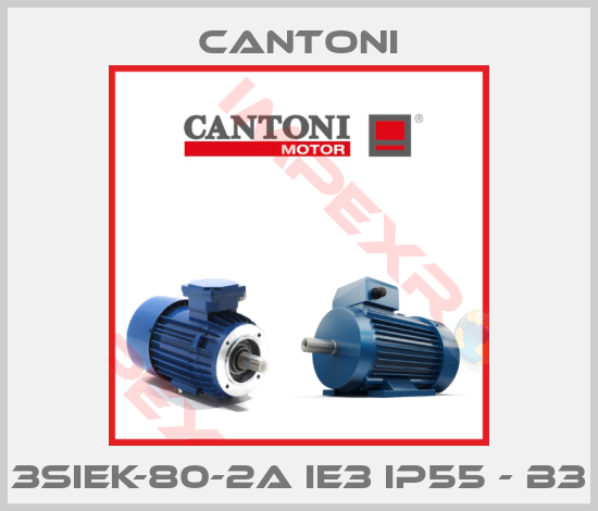 Cantoni-3SIEK-80-2A IE3 IP55 - B3