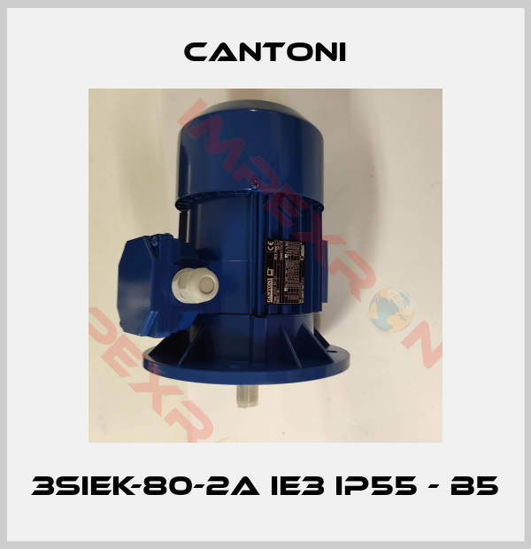 Cantoni-3SIEK-80-2A IE3 IP55 - B5