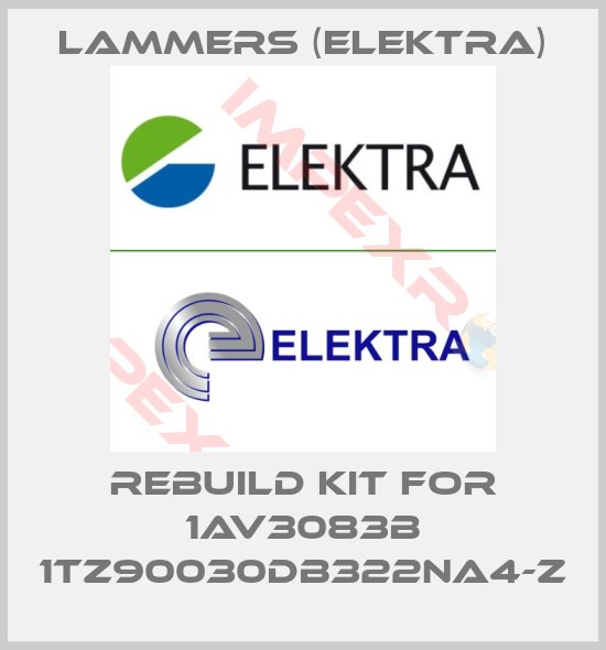 Lammers (Elektra)-Rebuild kit for 1AV3083B 1TZ90030DB322NA4-Z