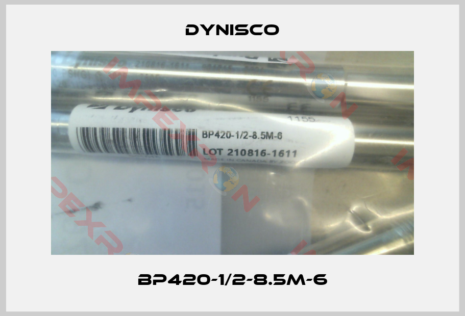 Dynisco-BP420-1/2-8.5M-6