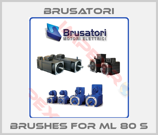 Brusatori-Brushes for ML 80 S