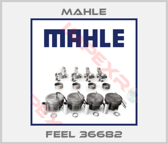 MAHLE-FEEL 36682