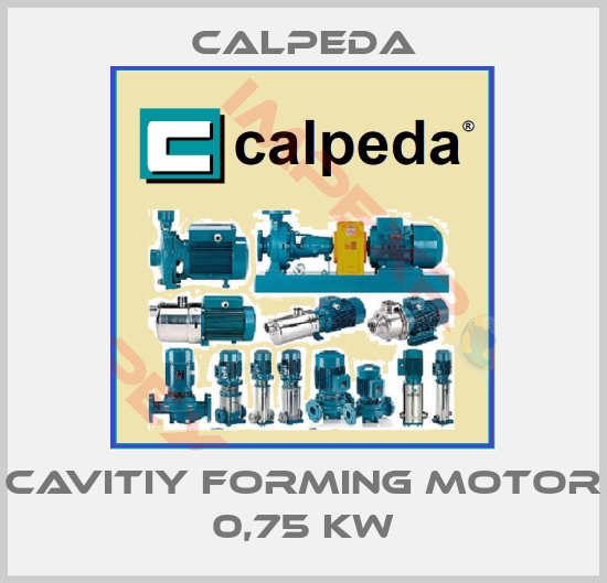 Calpeda-cavitiy forming motor 0,75 kw