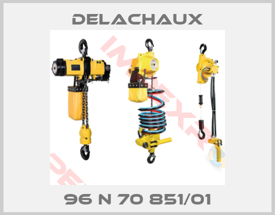 Delachaux-96 N 70 851/01