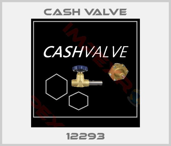 Cash Valve-12293