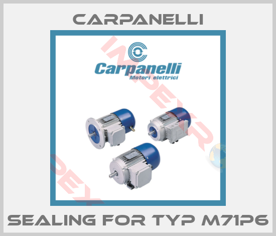 Carpanelli-Sealing For Typ M71P6