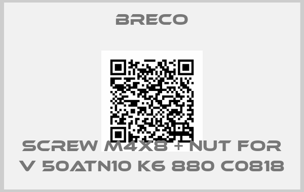 Breco-Screw M4x8 + nut For V 50ATN10 K6 880 C0818