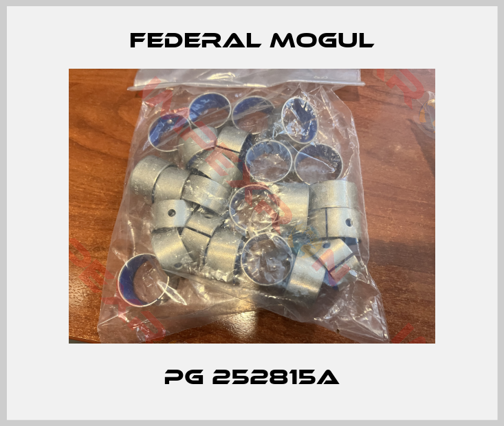 Federal Mogul-PG 252815A