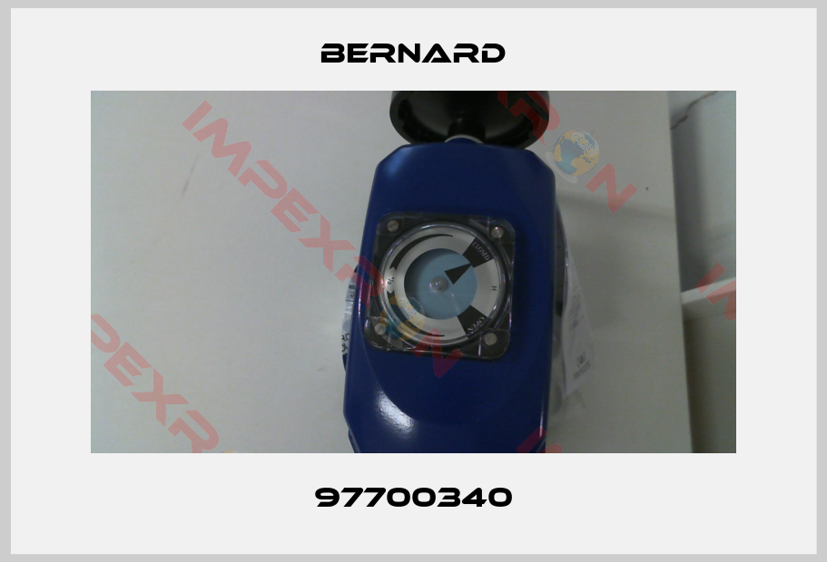 Bernard-97700340