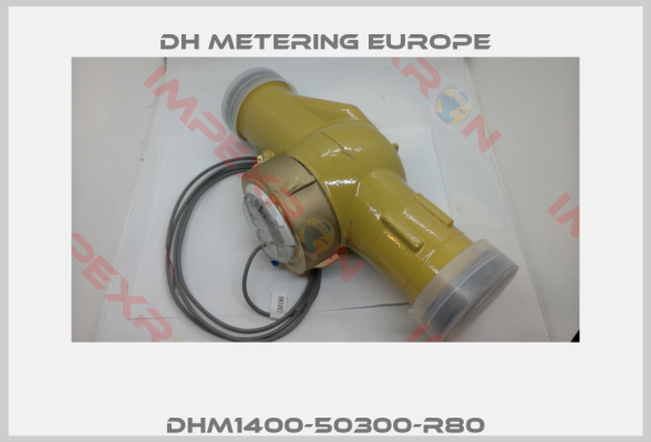 DH Metering Europe-DHM1400-50300-R80
