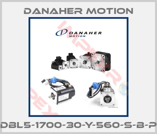 Danaher Motion-DBL5-1700-30-Y-560-S-B-P