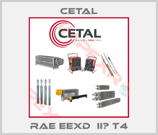 Cetal-RAE EExd  IIС T4