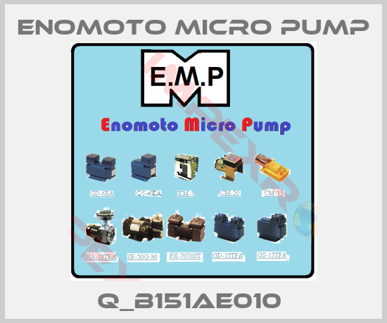 Enomoto Micro Pump-Q_B151AE010 