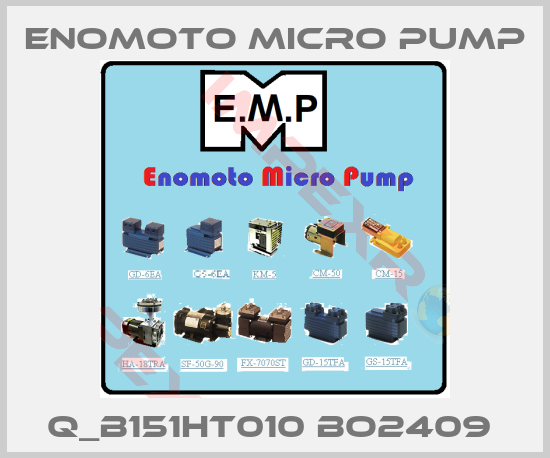 Enomoto Micro Pump-Q_B151HT010 BO2409 