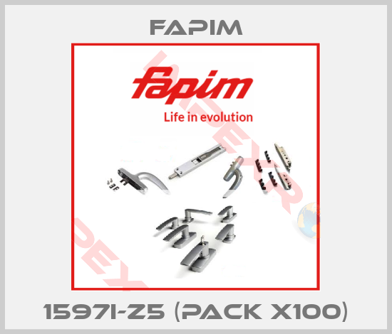 Fapim-1597I-Z5 (pack x100)