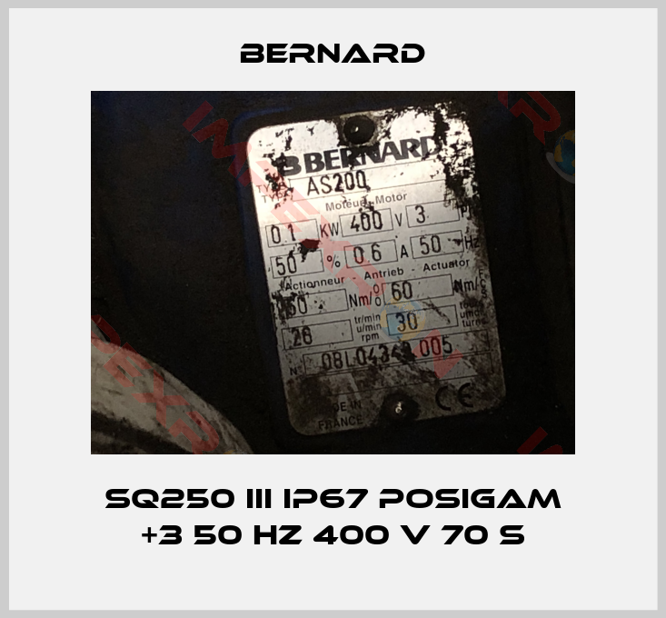 Bernard-SQ250 III IP67 Posigam +3 50 Hz 400 V 70 s