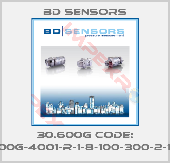 Bd Sensors-30.600G Code: 30.600G-4001-R-1-8-100-300-2-1-000