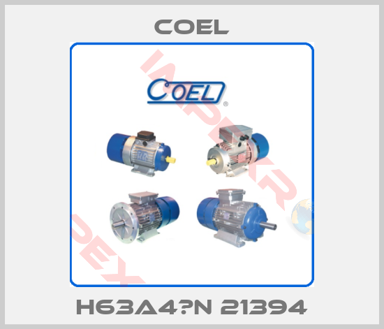 Coel-H63A4　N 21394
