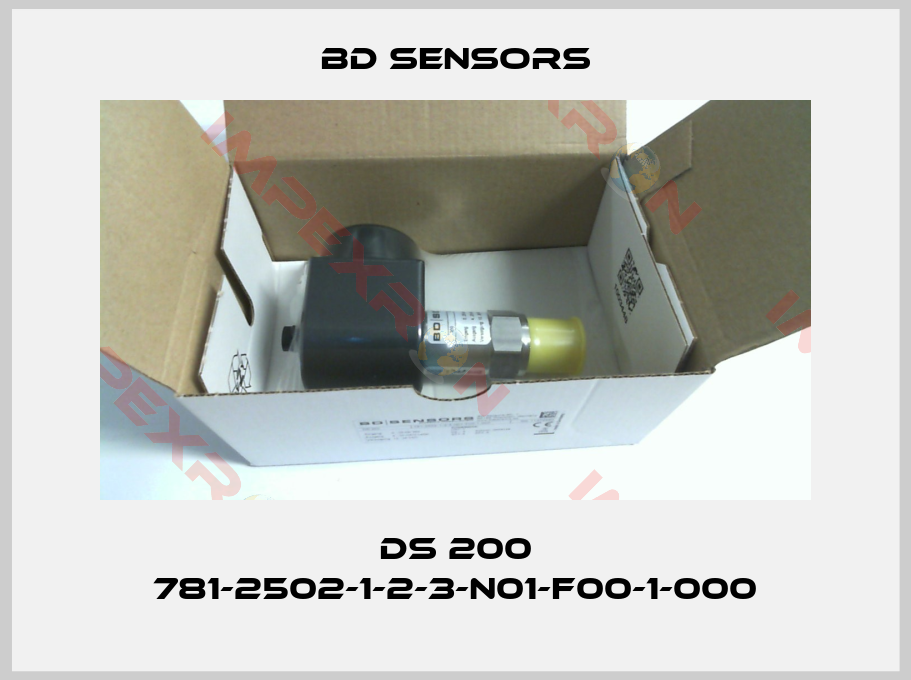 Bd Sensors-DS 200 781-2502-1-2-3-N01-F00-1-000