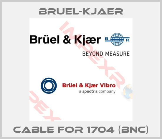 Bruel-Kjaer-Cable for 1704 (BNC)