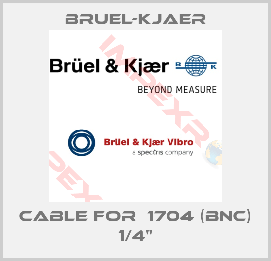 Bruel-Kjaer-Cable for  1704 (BNC) 1/4"
