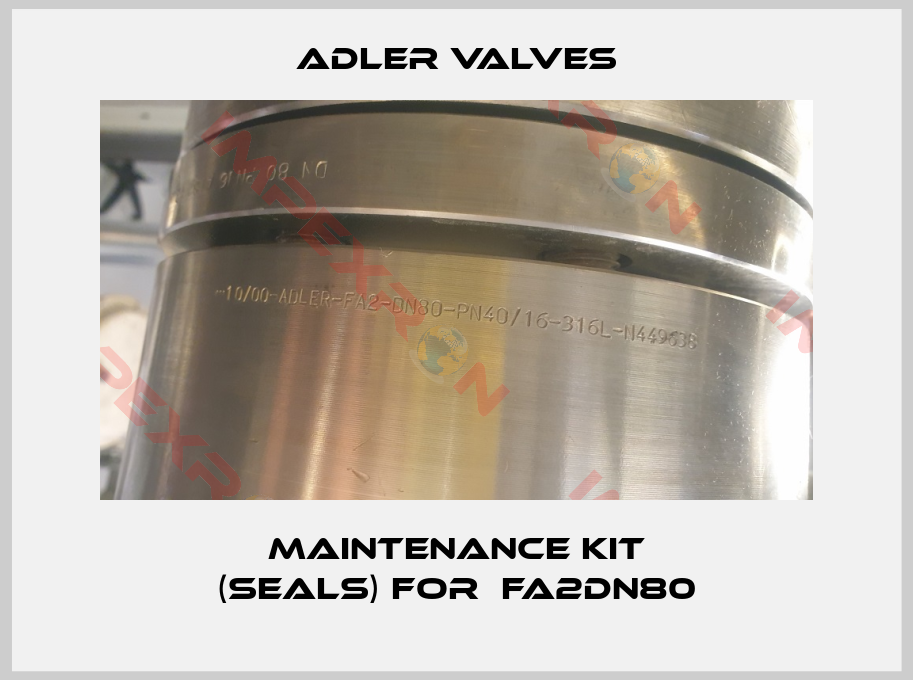 Adler Valves-maintenance kit (seals) for  FA2DN80