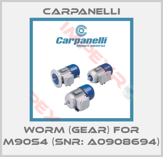 Carpanelli-worm (gear) for M90S4 (Snr: A0908694)