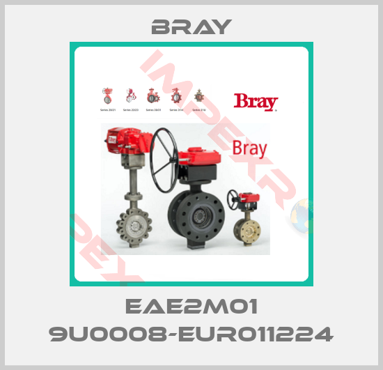 Bray-EAE2M01 9U0008-EUR011224