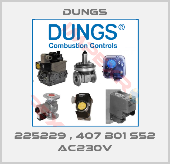 Dungs-225229 , 407 B01 S52 AC230V