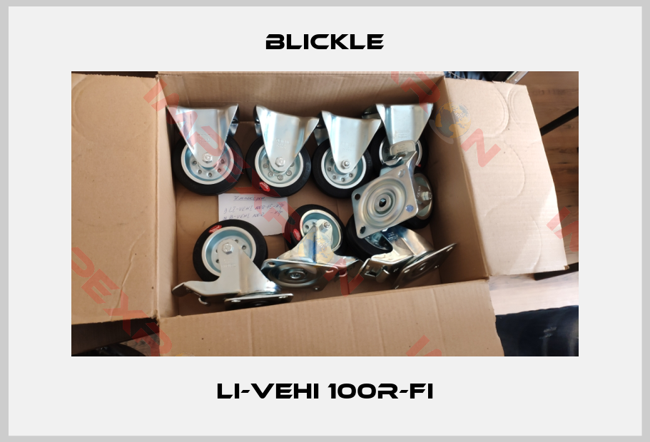 Blickle-LI-VEHI 100R-FI