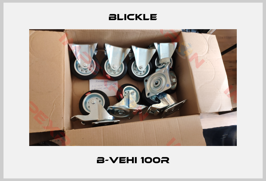 Blickle-B-VEHI 100R