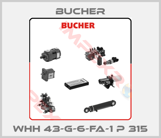 Bucher-WHH 43-G-6-FA-1 P 315