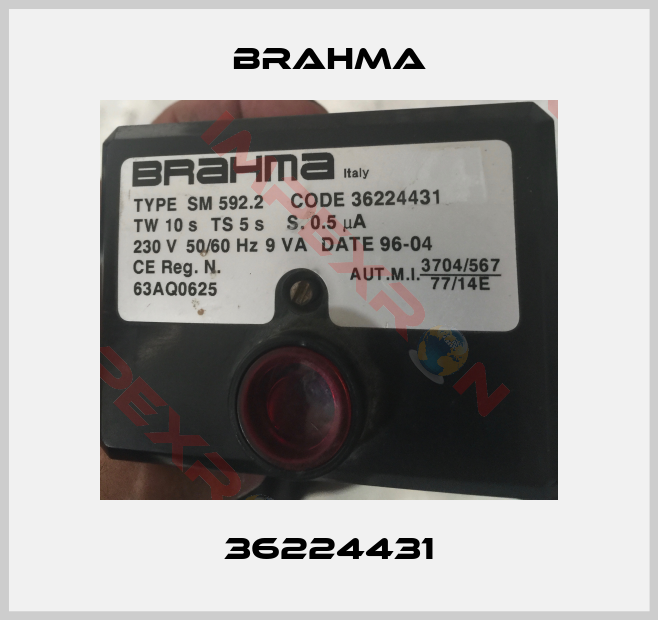 Brahma-36224431
