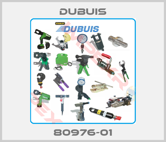 Dubuis-80976-01