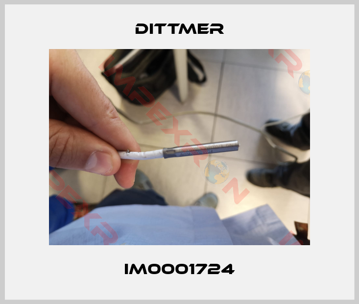 Dittmer-im0001724